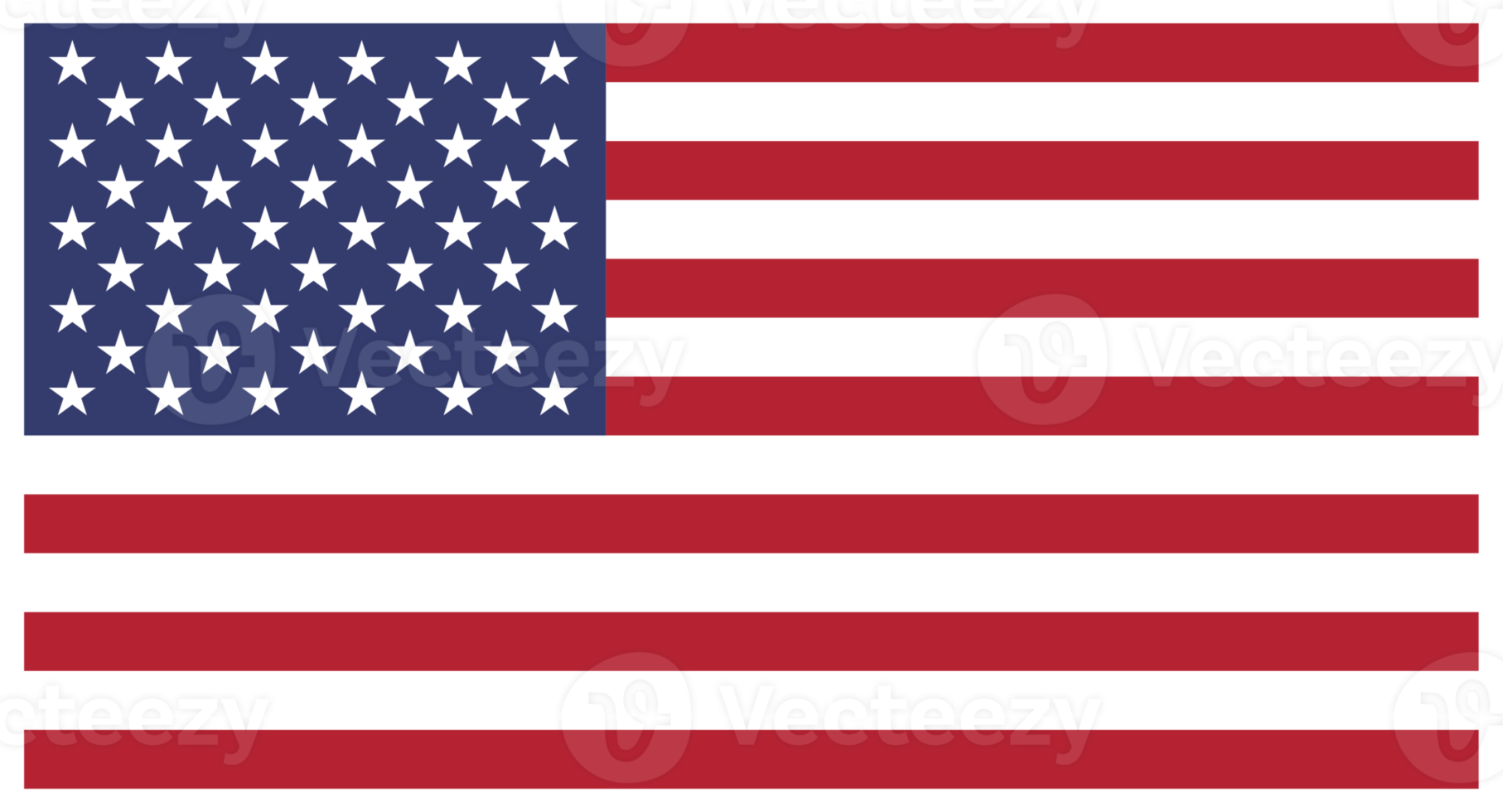 USA Flag